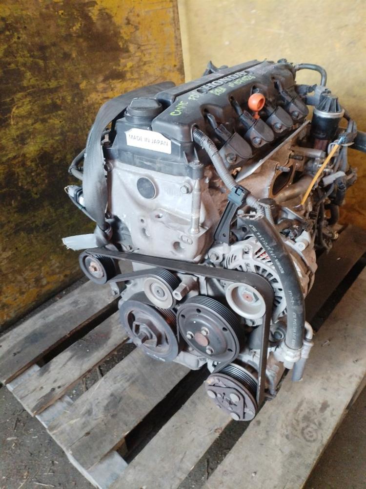 Двигатель Хонда Цивик в Сковородино 731861