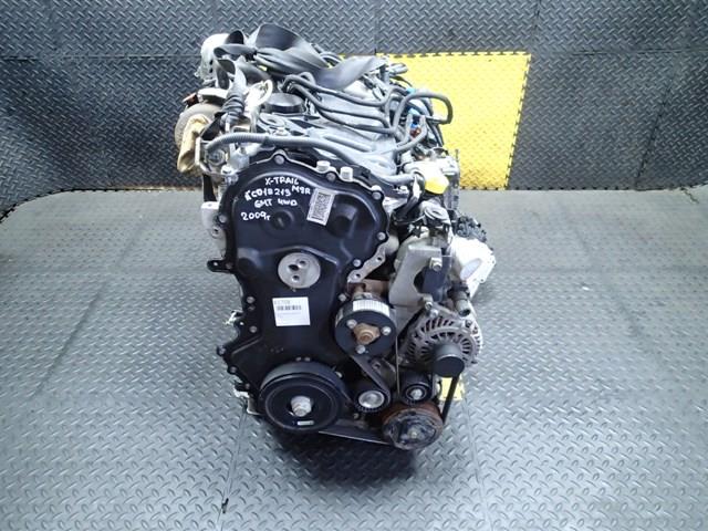 Двигатель Ниссан Х-Трейл в Сковородино 81708
